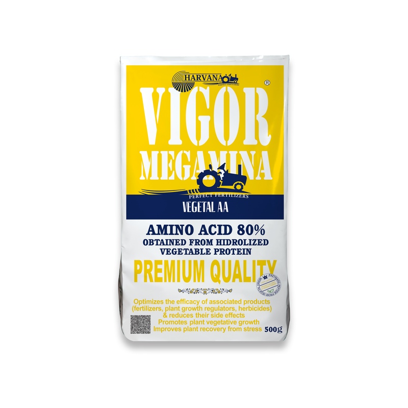 VIGOR MEGAMINA VIGOR MEGAMINA